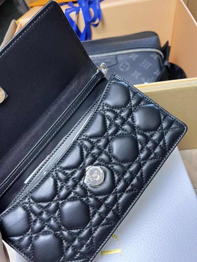 Dior woc