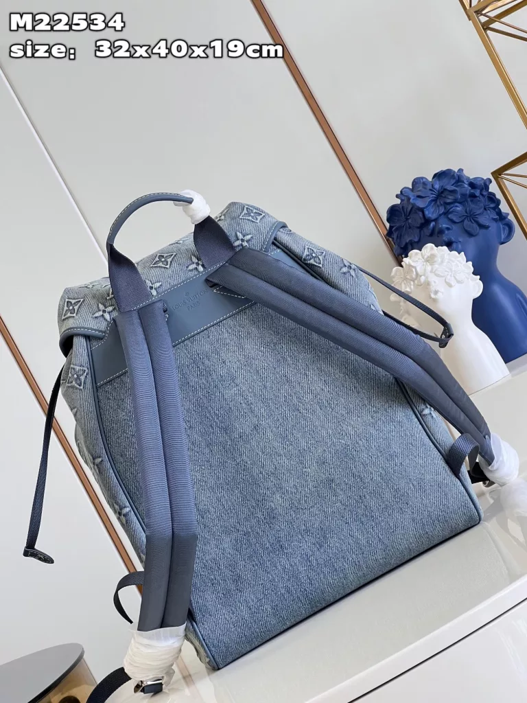 Louis Vuitton Montsouris backpack