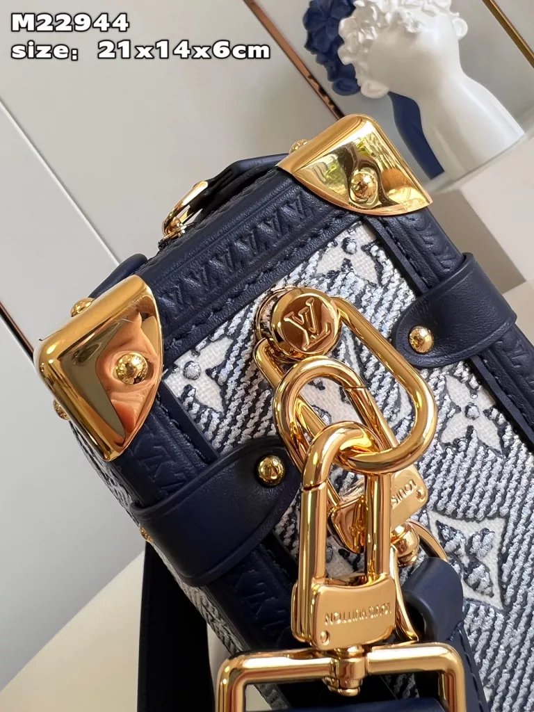 Louis Vuitton Side Trunk handbag