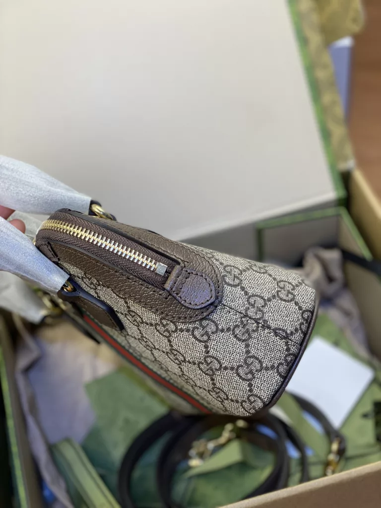 Gucci Ophidia mini handbag