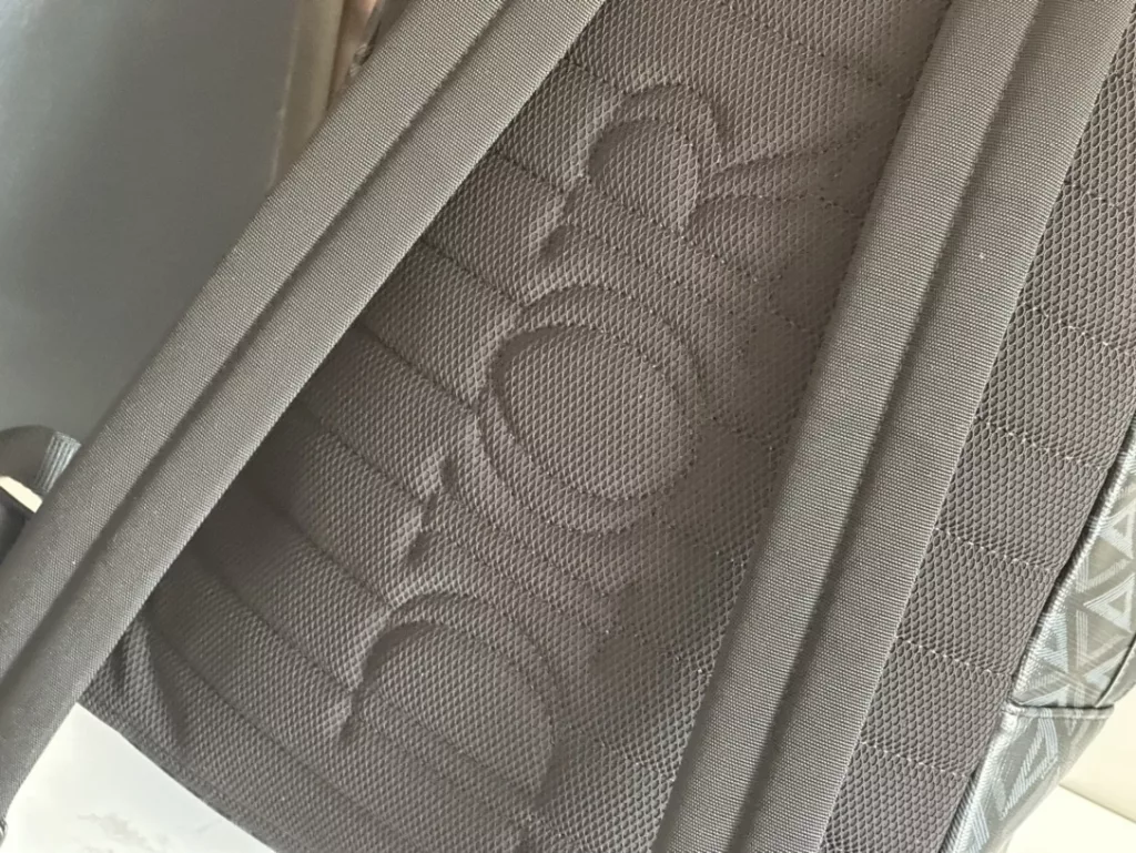 Dior backpack