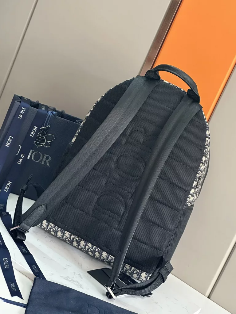 Dior backpack