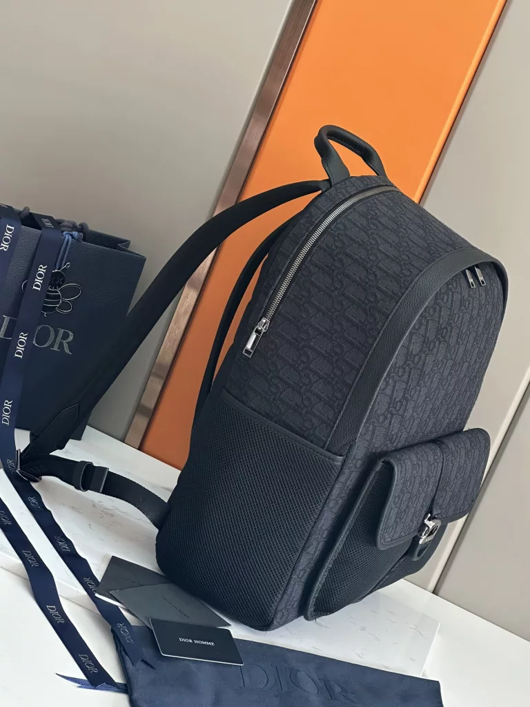 Dior backpack