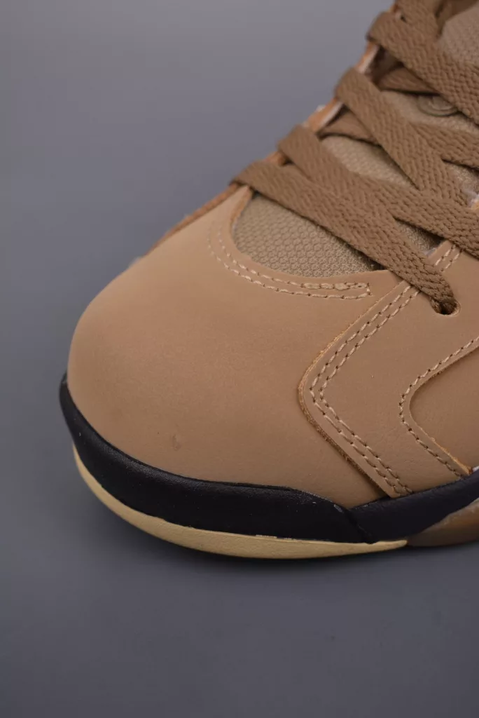 Air Jordan 6 retro shoes