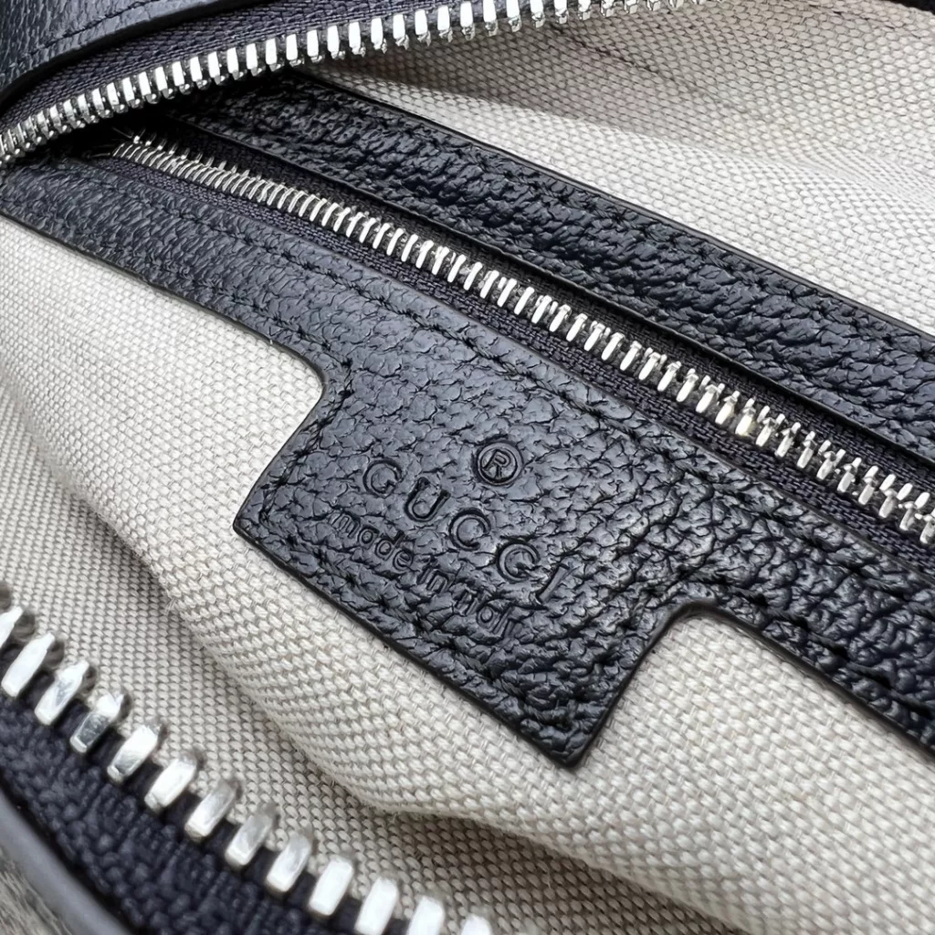Gucci camera bag