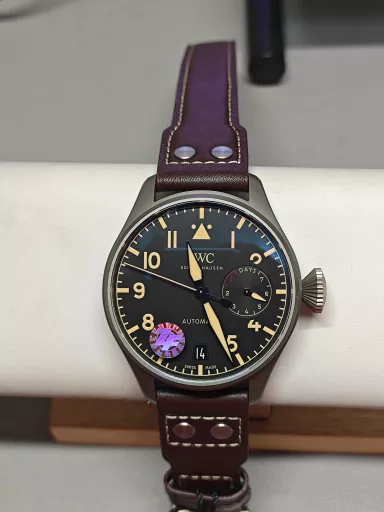 ZF International Pilot's