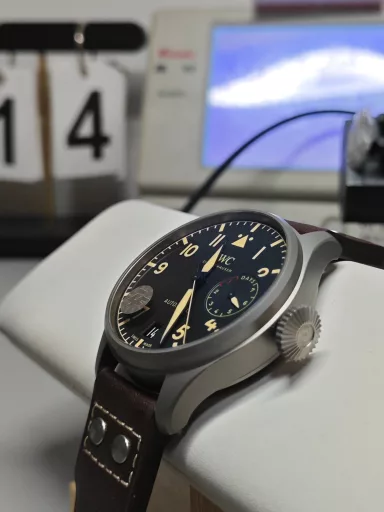 ZF International Pilot's