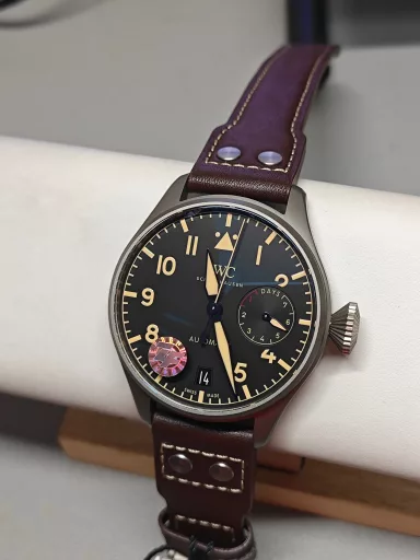 ZF International Pilot's