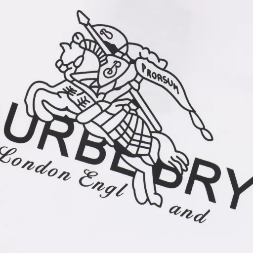 Burberry Warhorse Printed Round Neck Short SleevesThis summer's latest classic and stylish slogan T-shirt is not extra fancy, you can feel the unique charm of British style with any combination! Made of plain knitted cotton fabric supplied by customers, the texture is warm and drapey. The craftsmanship of neat details, neat lines, woven ribbed neckline, smooth and delicate feel, comfortable and breathable, and the cutting process is in place, cutting out the most popular OS loose version, fashionable and eye-catching on the upper body, full of street casual laziness! The pocket plaid does not need to be deliberately explained, the neat and delicate beauty is different from the traditional offset printing pattern!