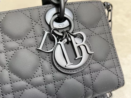 The new Lady D-Joy handbag interprets Dior's profound insight into elegance and beauty. The elegant and classic style is carefully made with imported sheepskin embroidery thread brand classic rattan mosquito, and is paired with a light gold-finished metal D·I·O·R pendant to enhance the style and add a touch of agility to the exquisite outline. With a detachable chain shoulder strap and an adjustable and detachable leather shoulder strap, it can be carried by hand, on the shoulder or cross-body, making it an ideal choice for everyday goddesses.