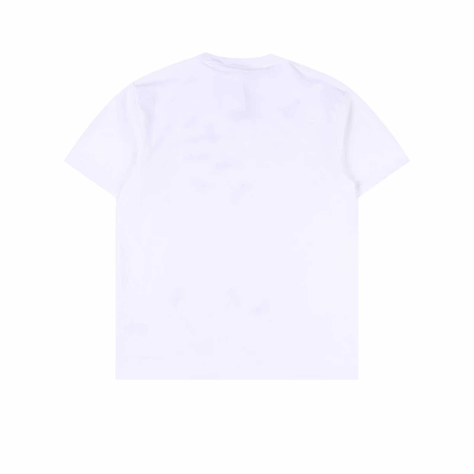 Dior Dragonfly Print Short Sleeve T-shirtPure cotton washed fabric, weighing about 300 grams after washing. Soft and skin-friendly. Exquisite workmanship, moderate thickness. Same style for men and women, loose version, fashionable and versatile.