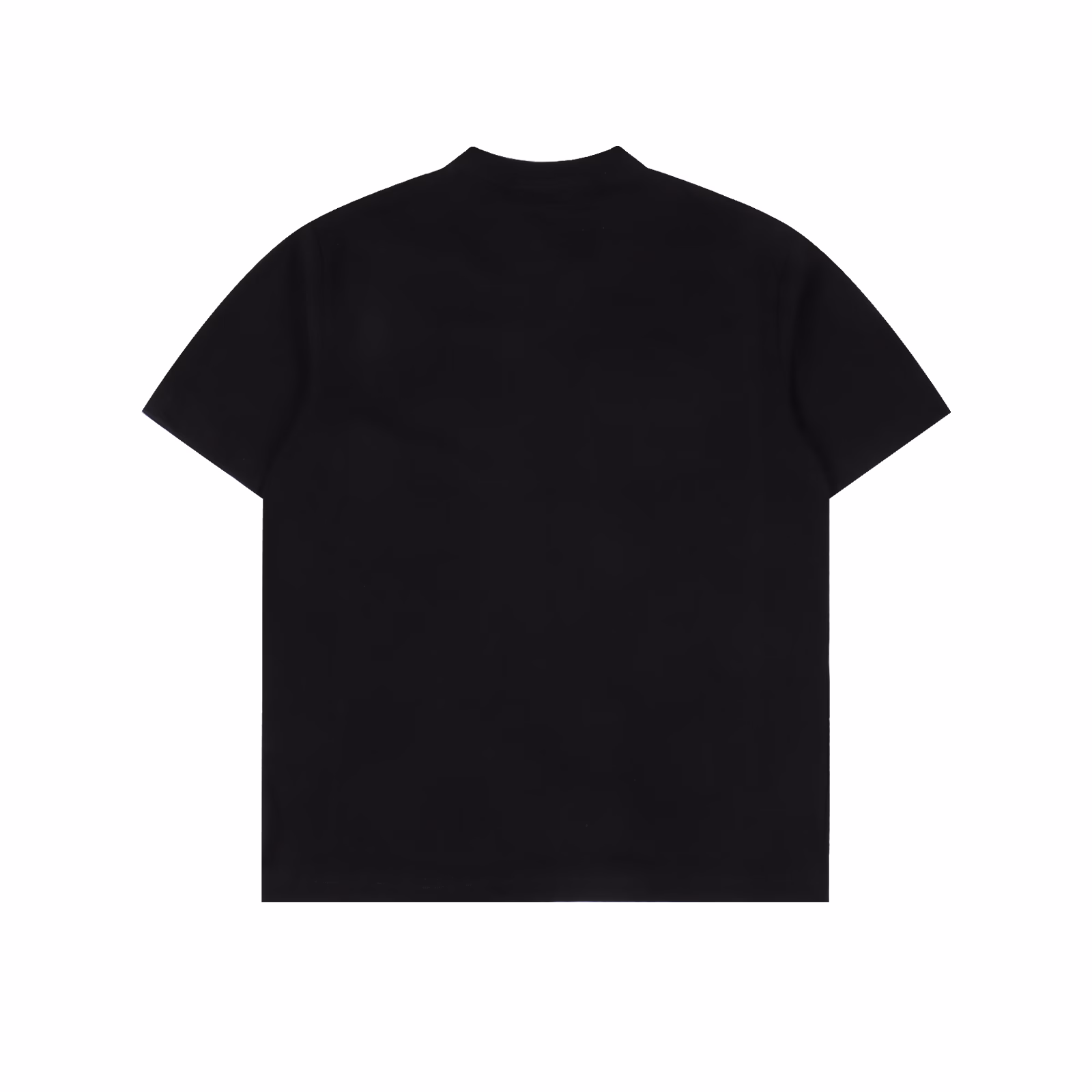 Dior Dragonfly Print Short Sleeve T-shirtPure cotton washed fabric, weighing about 300 grams after washing. Soft and skin-friendly. Exquisite workmanship, moderate thickness. Same style for men and women, loose version, fashionable and versatile.