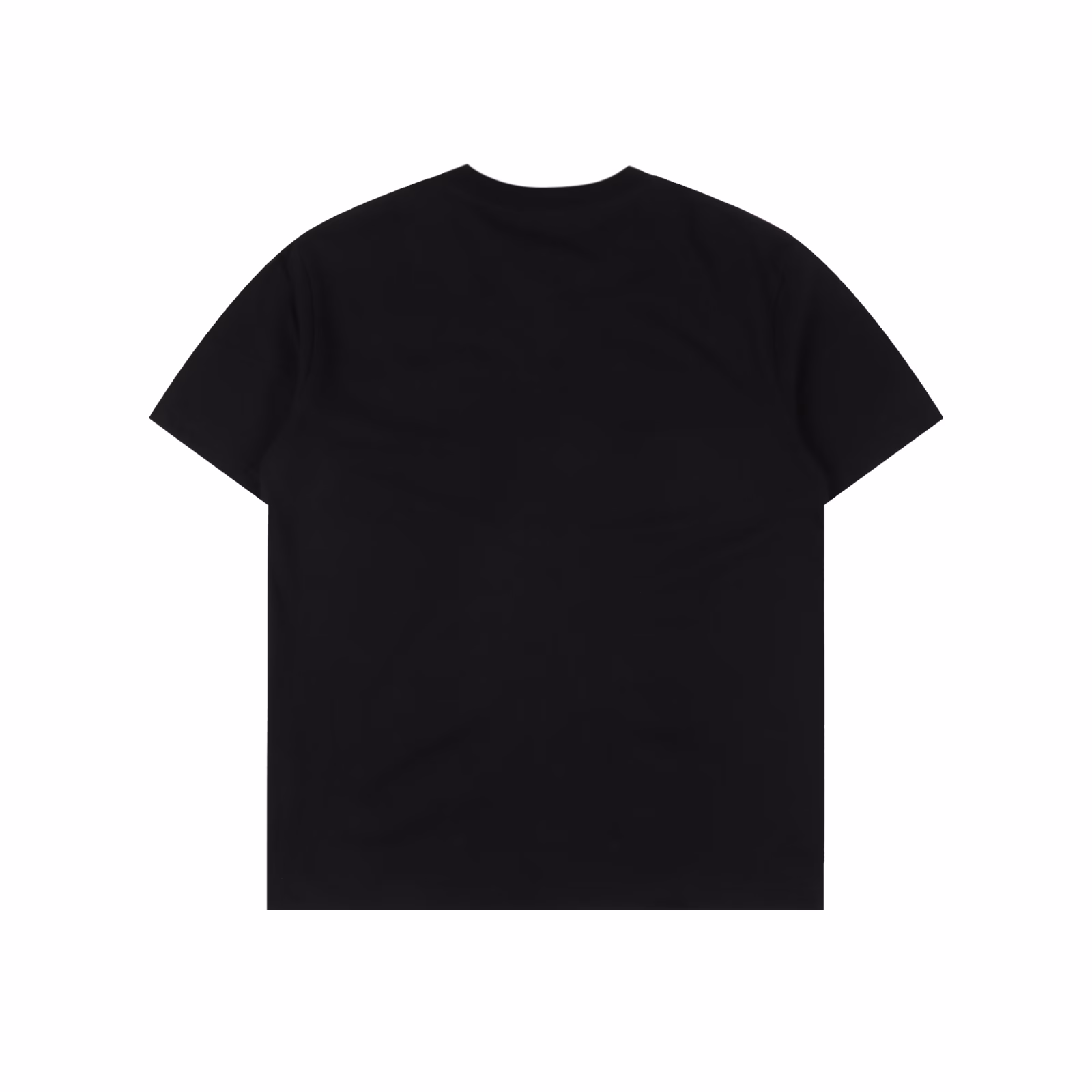 Dior classic toothbrush velvet gradient embroidered short sleeves